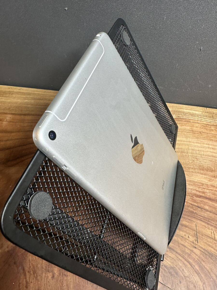 Apple iPad mini (5世代)/ 256GB/Wi-Fi +SIMフリー /cellular 利用制限