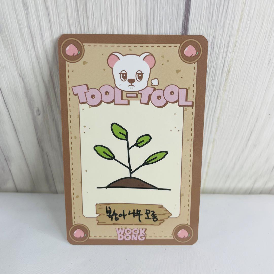 韓国限定 イ・ドンウク ポップアップ ウクドン ランダム フォトカード