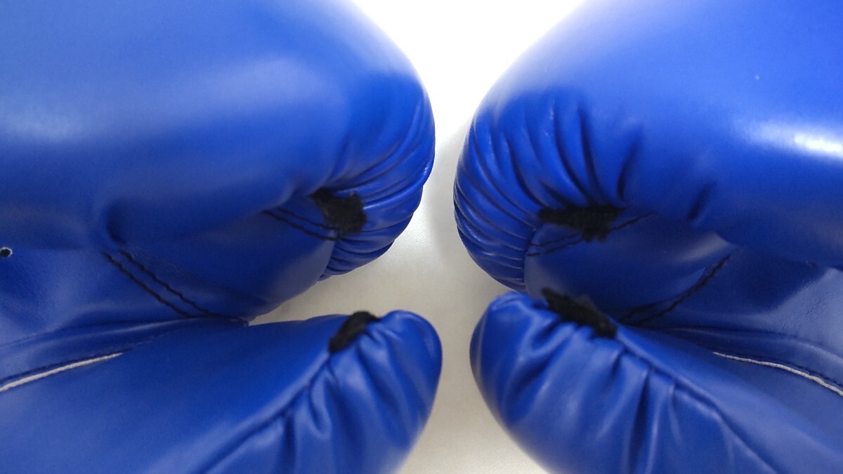 美品 TWINS 12oz ツインズ 12オンス ボクシンググローブ ブルー #エ