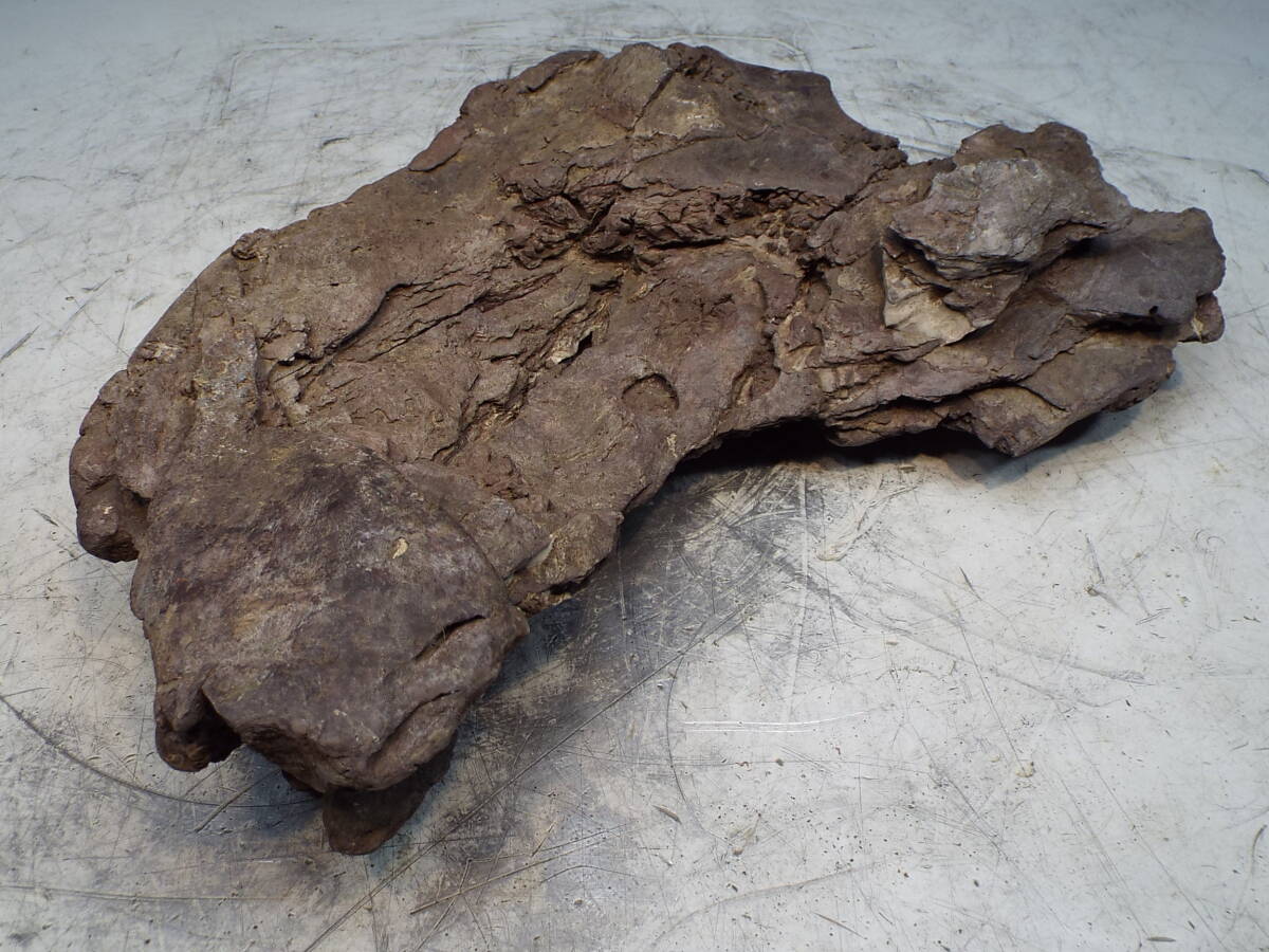 Yahoo!オークション - 龍眼石 竜眼石 盆栽 付け石 鎧石 揖斐川 水石 盆