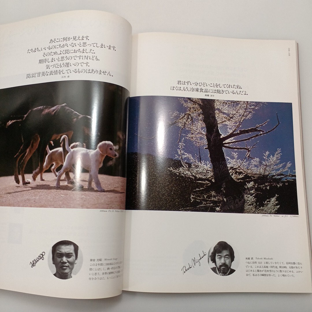 zaa-ma04 1982年発行NIKONWORLD新ニコンの世界 カメラ写真集 (1978年8