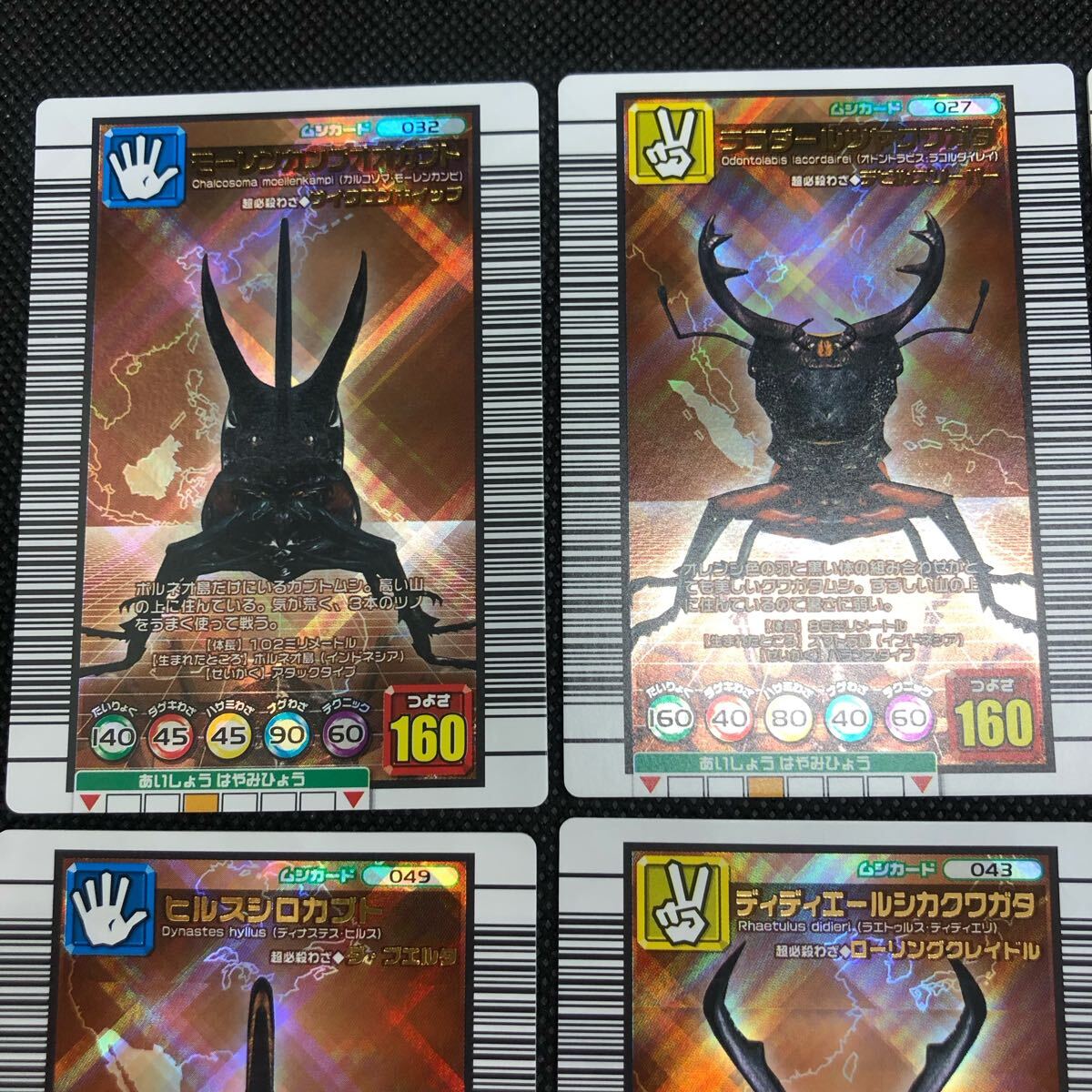 甲虫王者ムシキングカード 2005セカンド 銅 コンプリート｜Yahoo