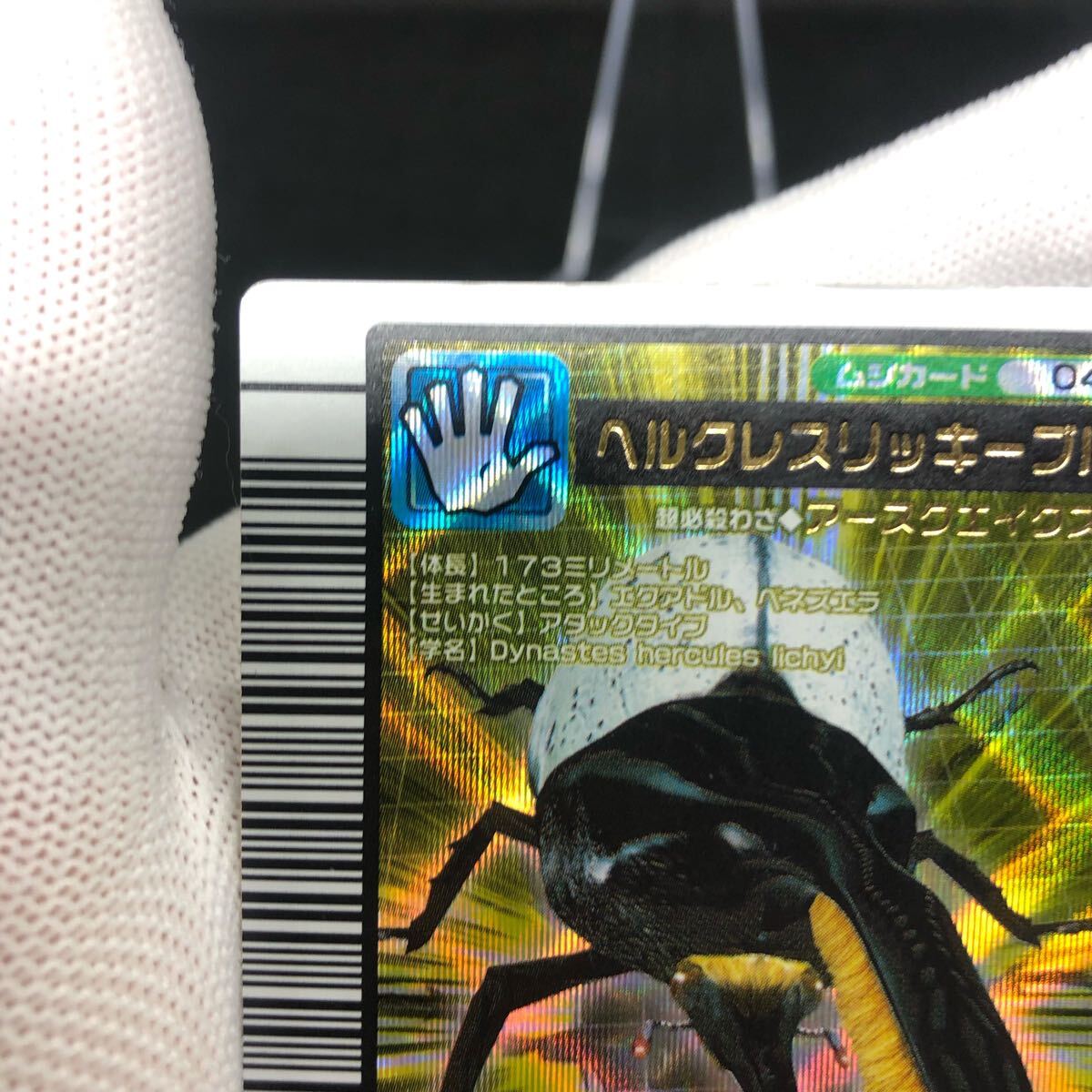 甲虫王者ムシキング ムシキングカード 2005ファーストプラス