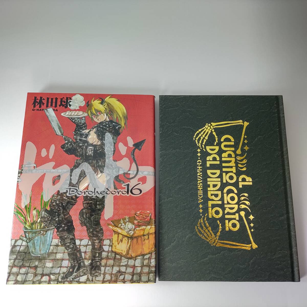 ドロヘドロ 16巻 悪魔の教典付き限定特装版 林田球 初版｜Yahoo!フリマ