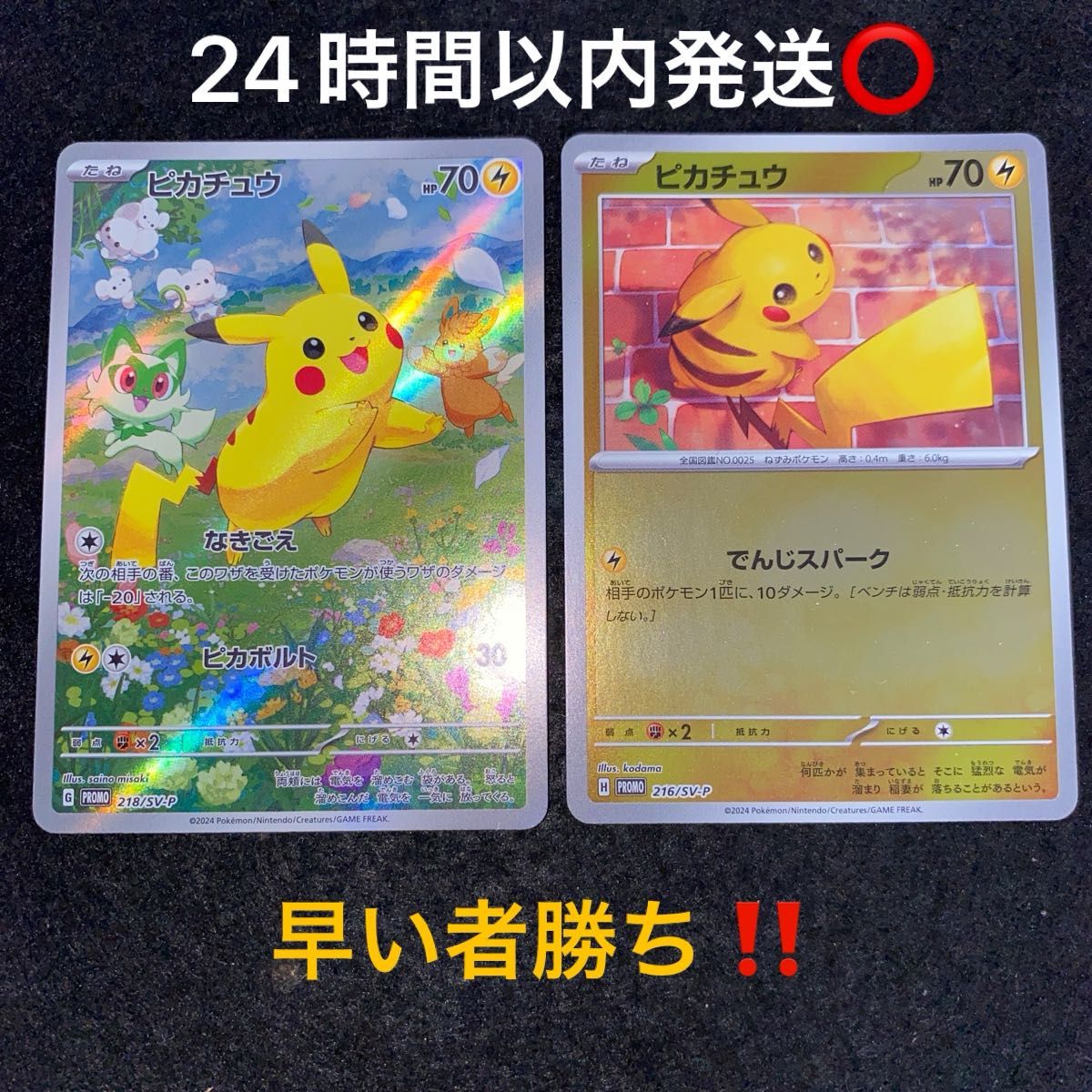 ポケモンカードゲーム〜ポケカの夏がキタ プロモーションカード