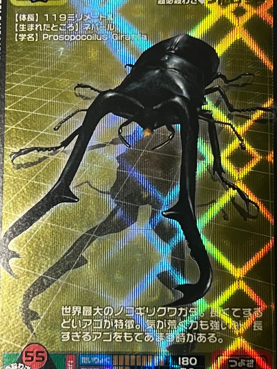 甲虫王者ムシキング2004 ファースト ギラファノコギリクワガタ｜Yahoo