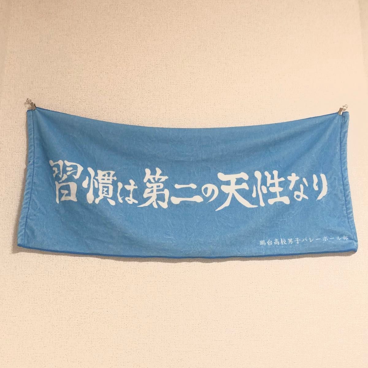 ハイキュー 10周年 鴎台高校 横断幕タオル｜Yahoo!フリマ（旧PayPay