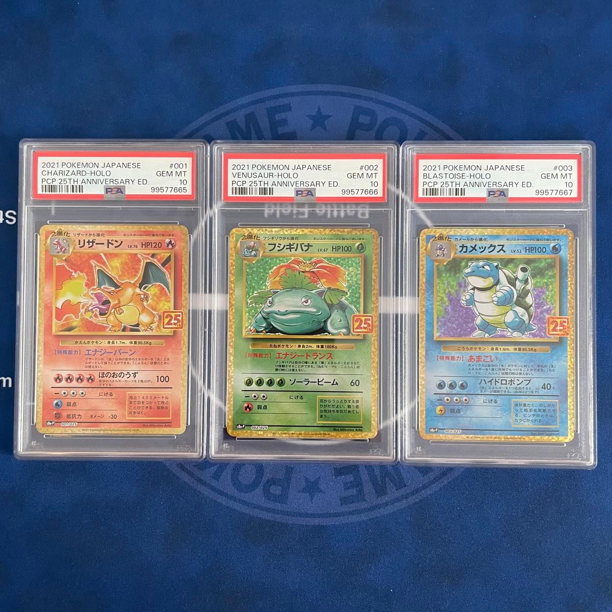 PSA10】初代御三家 25th プロモカード 3枚セット【3連番】ポケモン