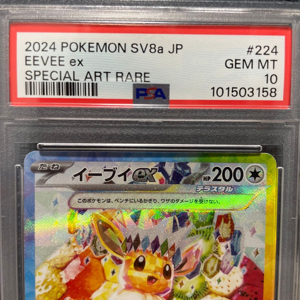 PSA10 ポケモンカード SAR イーブイex 224/187 美品 鑑定品 2024