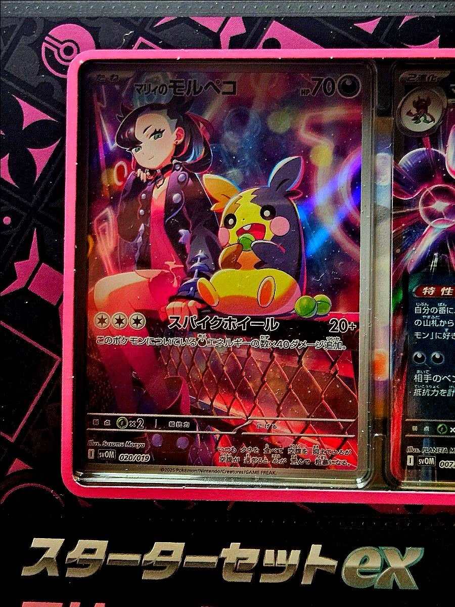 マリィのモルペコ AR｜Yahoo!フリマ（旧PayPayフリマ）