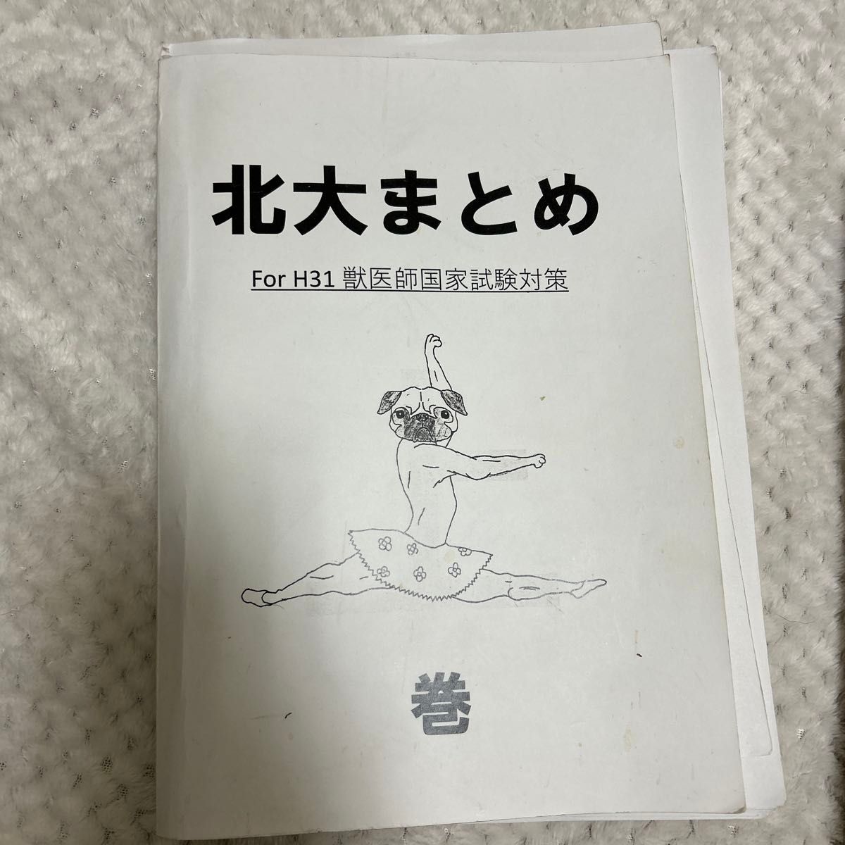 北大まとめ 獣医 上中下 H31 獣医師国家試験対策｜Yahoo!フリマ（旧