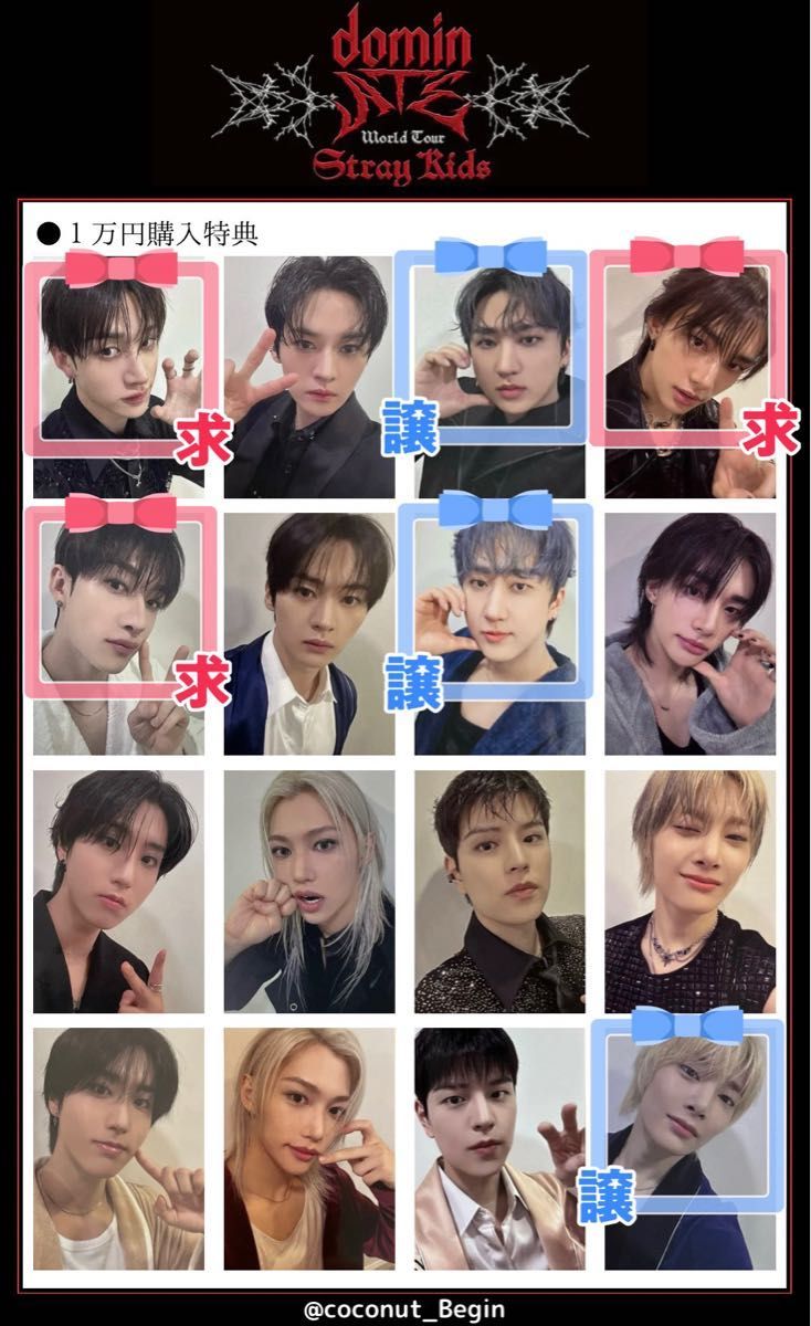 Stray Kids スキズ World Tour dominATE JAPAN グッズ 1万円購入特典