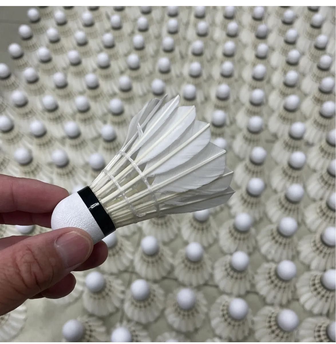 大会使用球240個（20ダース） 4番(77) HANGYU PLATINUM中国大会認定級