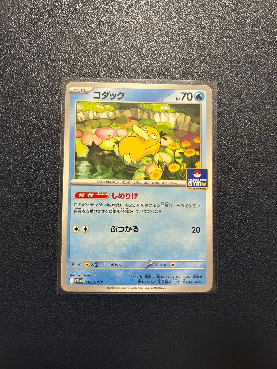 即日発送】コダック しめりけ ジムプロモ ポケモンカードゲーム