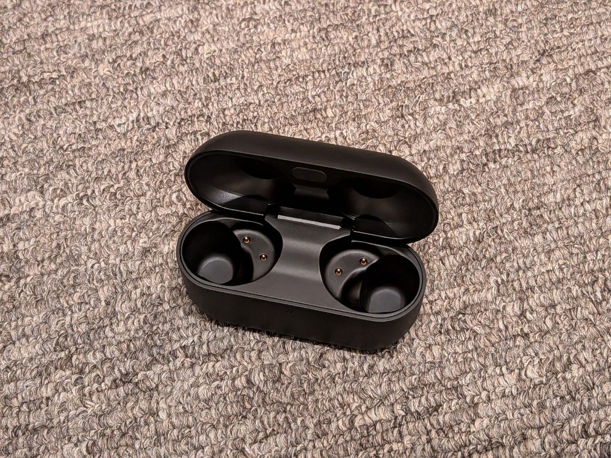 ほぼ未使用】EAH-AZ100 充電ケース 単品 Panasonic Technics イヤホン