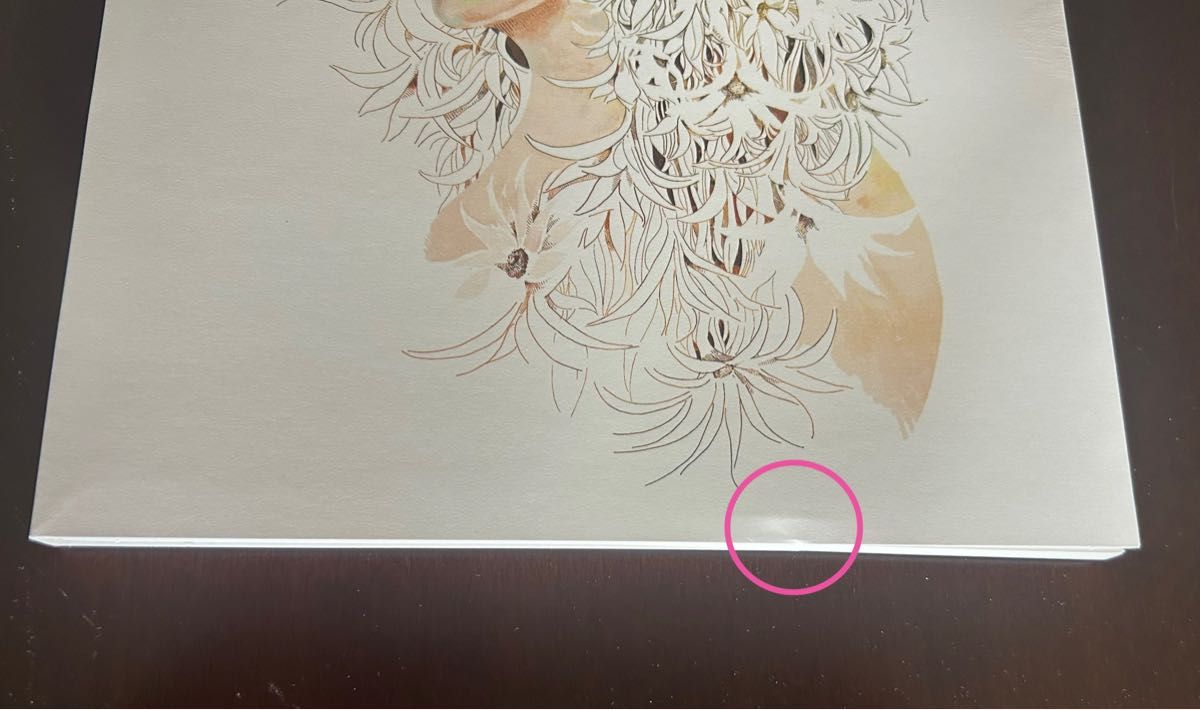 美品 レア 米津玄師 初回限定盤 サンタマリア リミテッド パッケージ