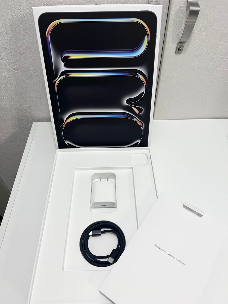 M4 iPad Pro 11インチ 2024 Wi-Fi 256GB 標準ガラス スペースブラック