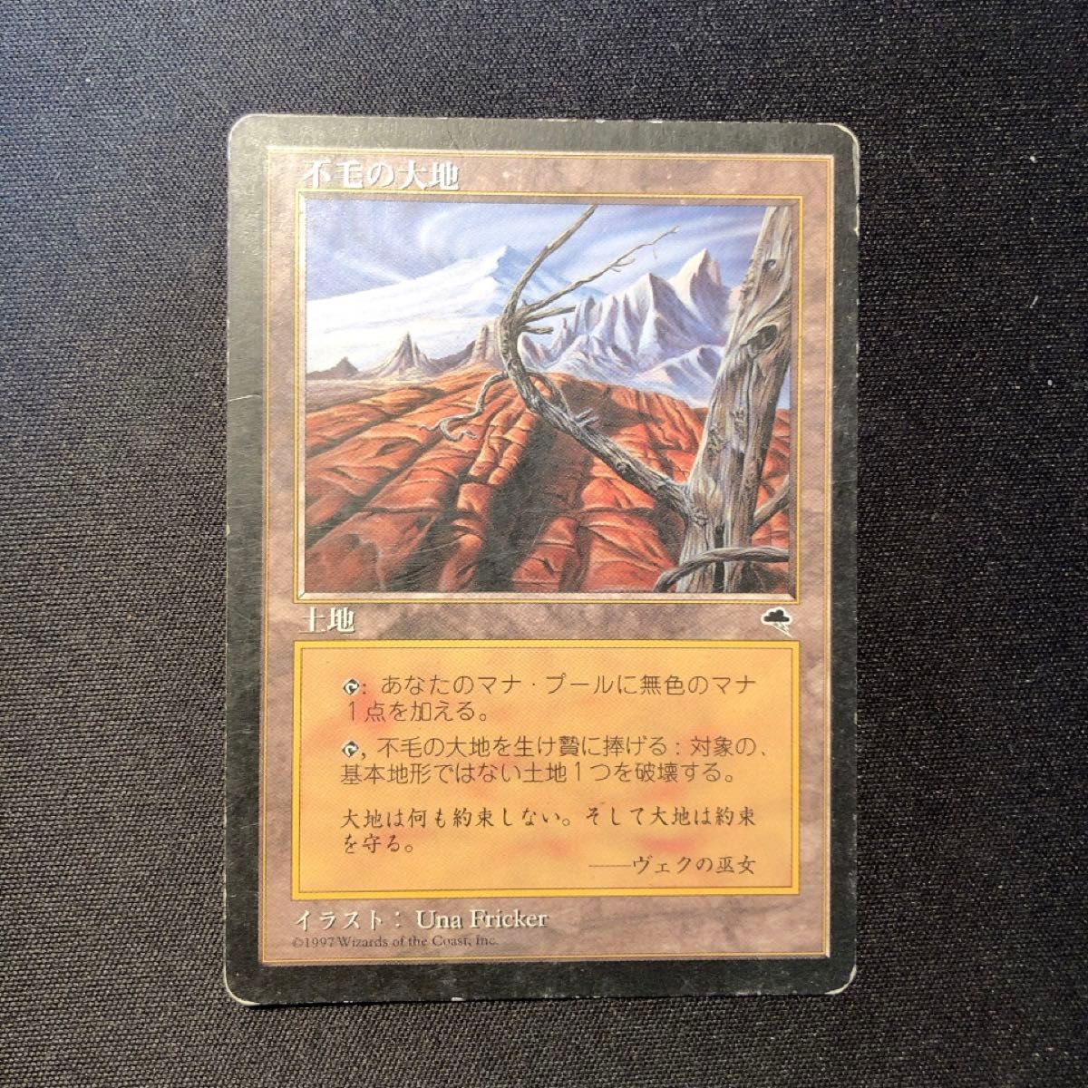 不毛の大地 Wasteland MTG 日本語 TMP｜Yahoo!フリマ（旧PayPayフリマ）
