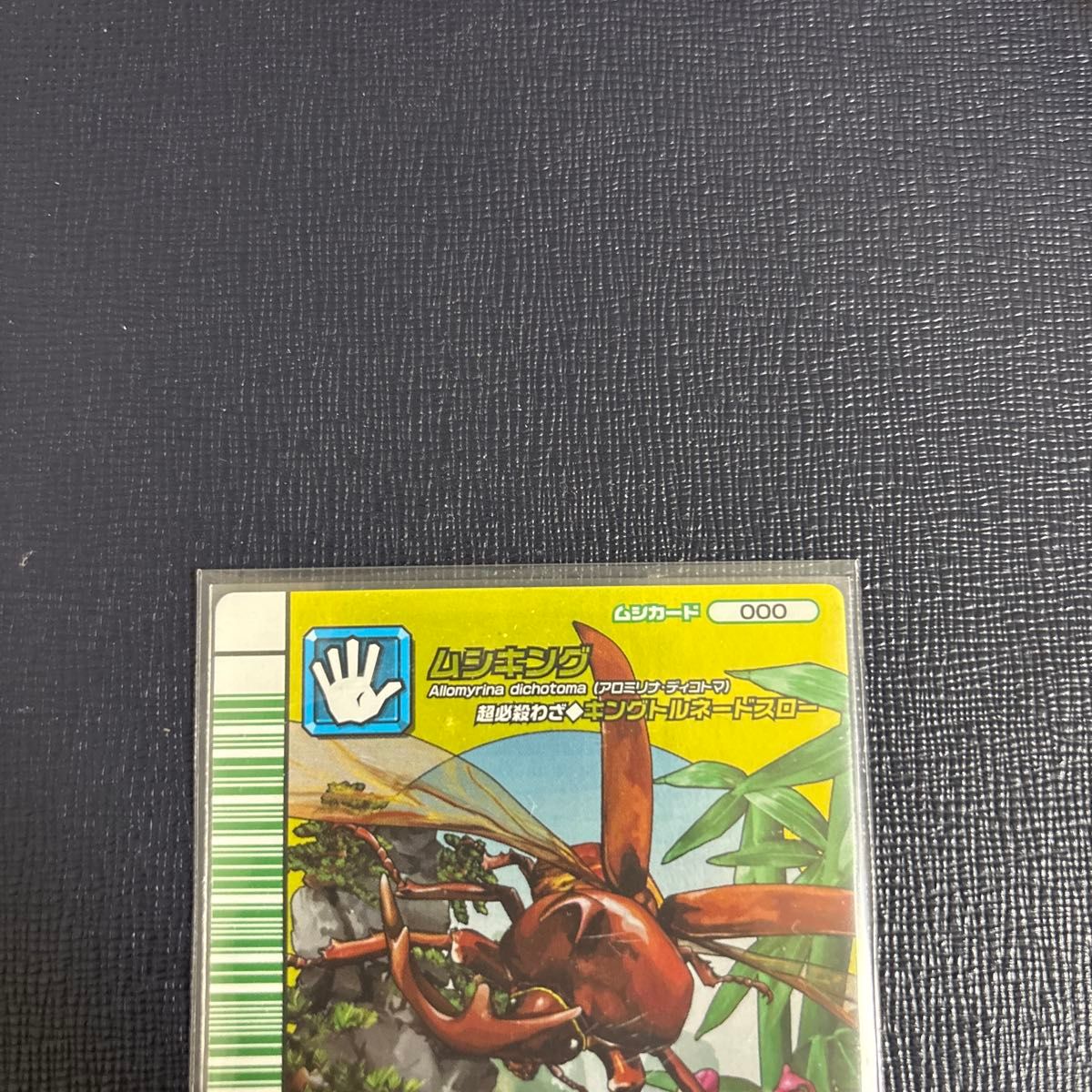 ムシキング5周年 カードホルダー付録カード｜Yahoo!フリマ（旧PayPay