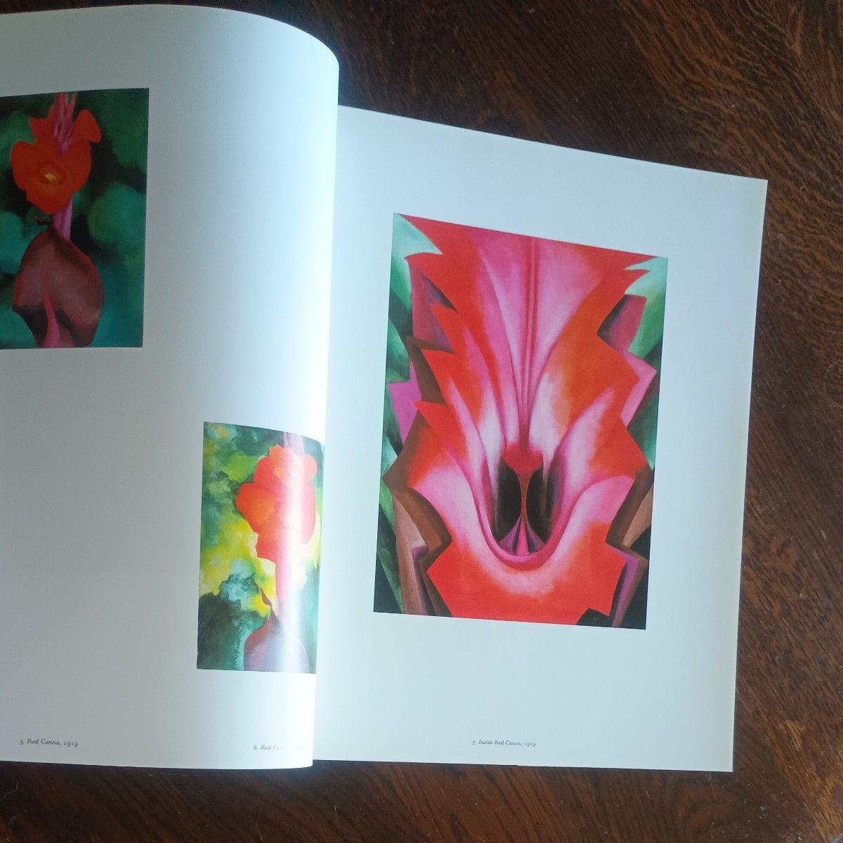 ジョージア・オキーフ 作品集 One Hundred Flowers 大型本｜Yahoo