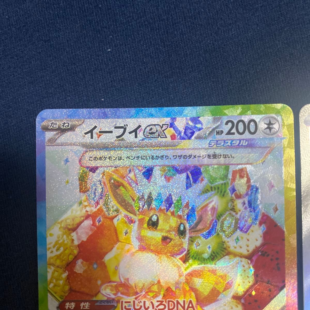 ポケモンカード テラスタルフェスex イーブイex イーブイ SAR マスター