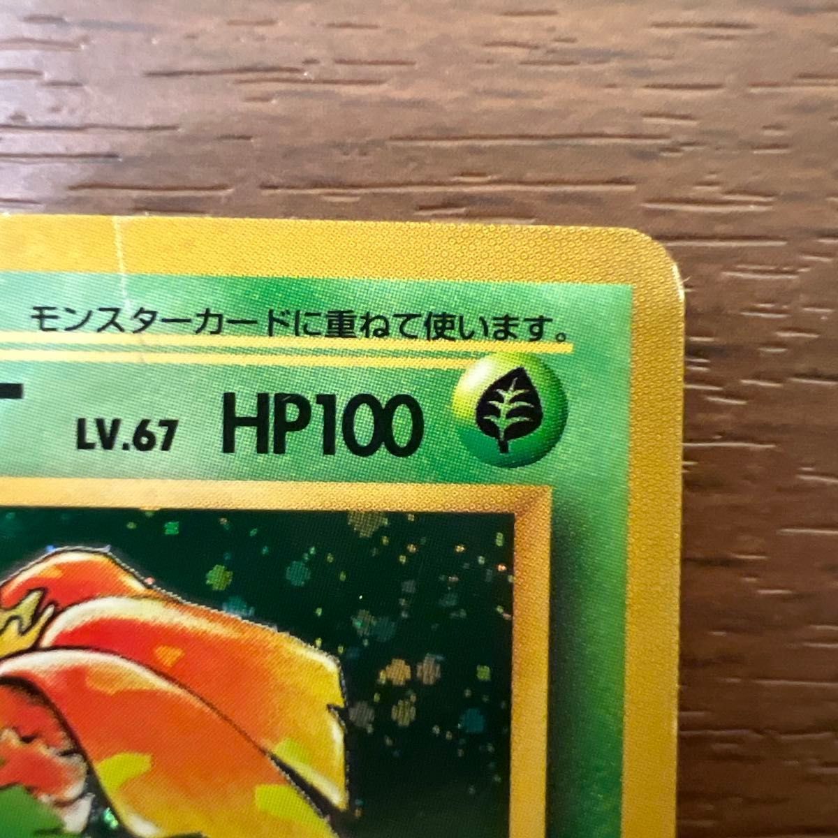 旧裏 全面ホロ】フシギバナ 第1弾拡張パック 全面ホロ 旧裏 フシギバナ