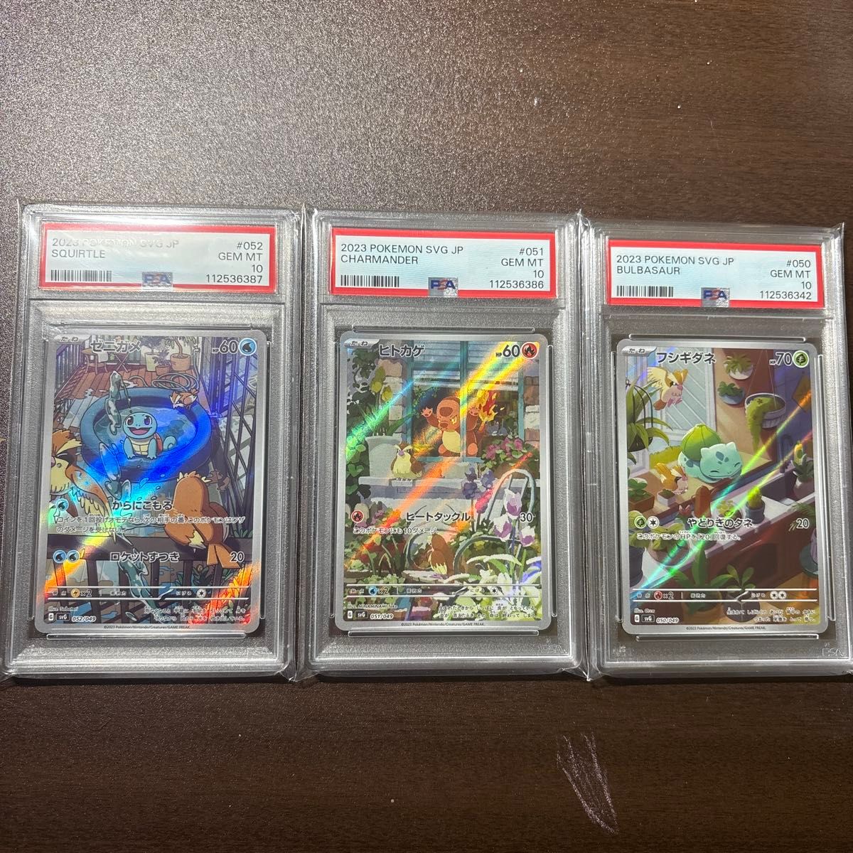 PSA10 3枚セット スペシャルデッキセットex ヒトカゲ フシギダネ