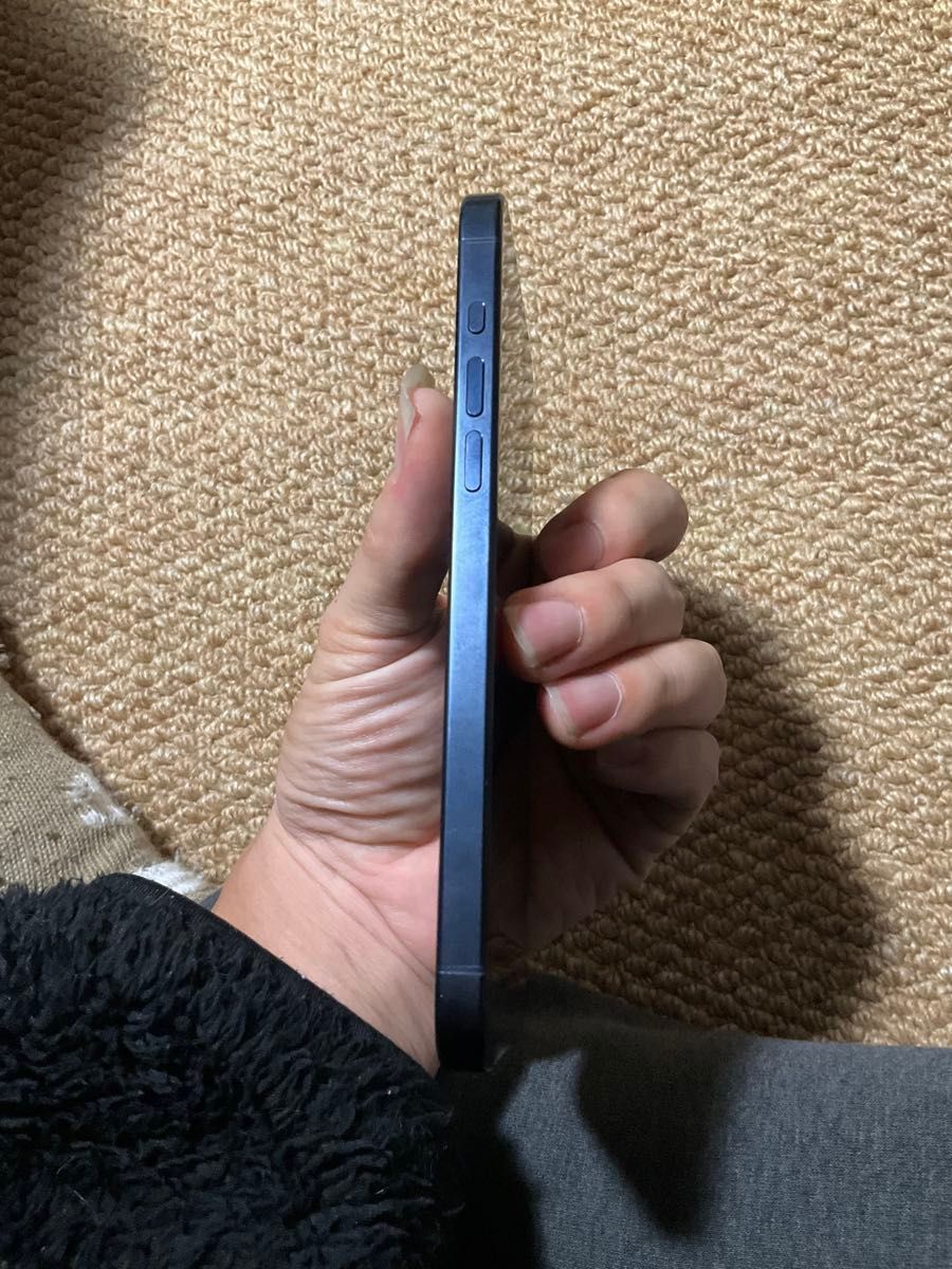 アメリカ版 Apple iPhone 15 Pro Max 256GB，美品， バッテリーは100