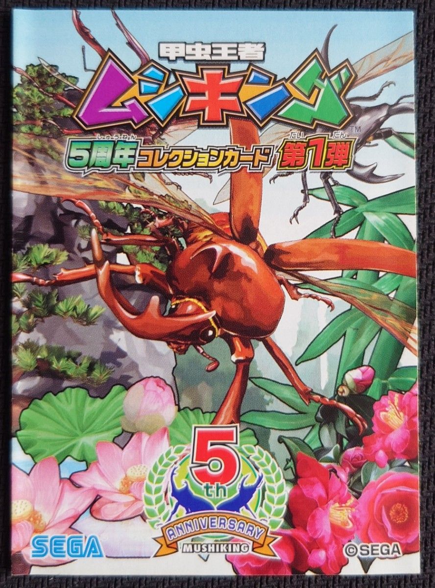 超希少 未使用 ムシキング 5周年 コレクションカード 第1弾 62種類