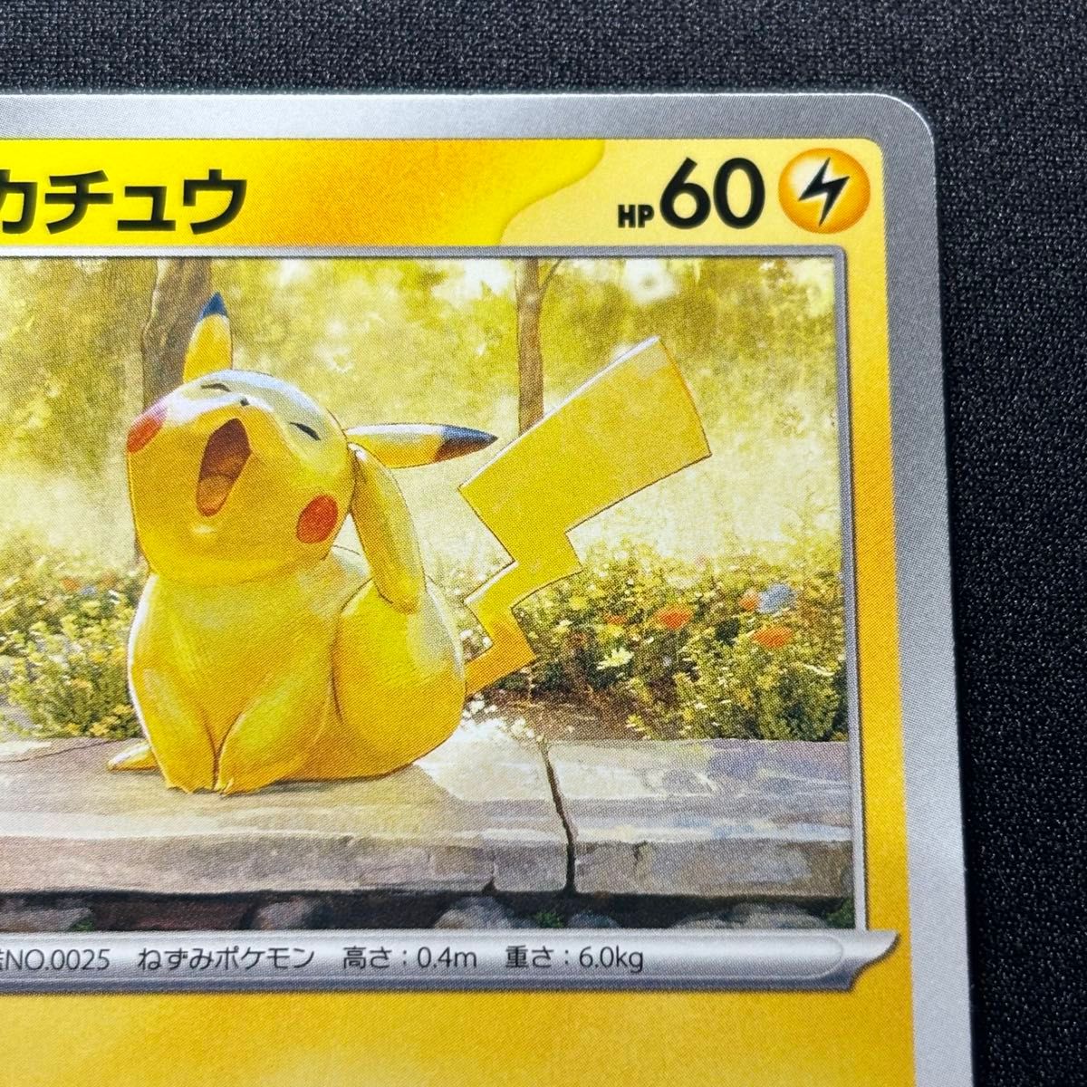 ポケモンカード プロモカード イラストレーションコンテスト 2024 受賞