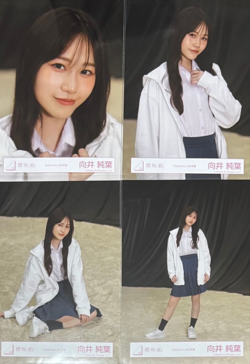 櫻坂 櫻坂46 生写真 Addiction MV衣装 向井純葉 コンプ｜Yahoo!フリマ