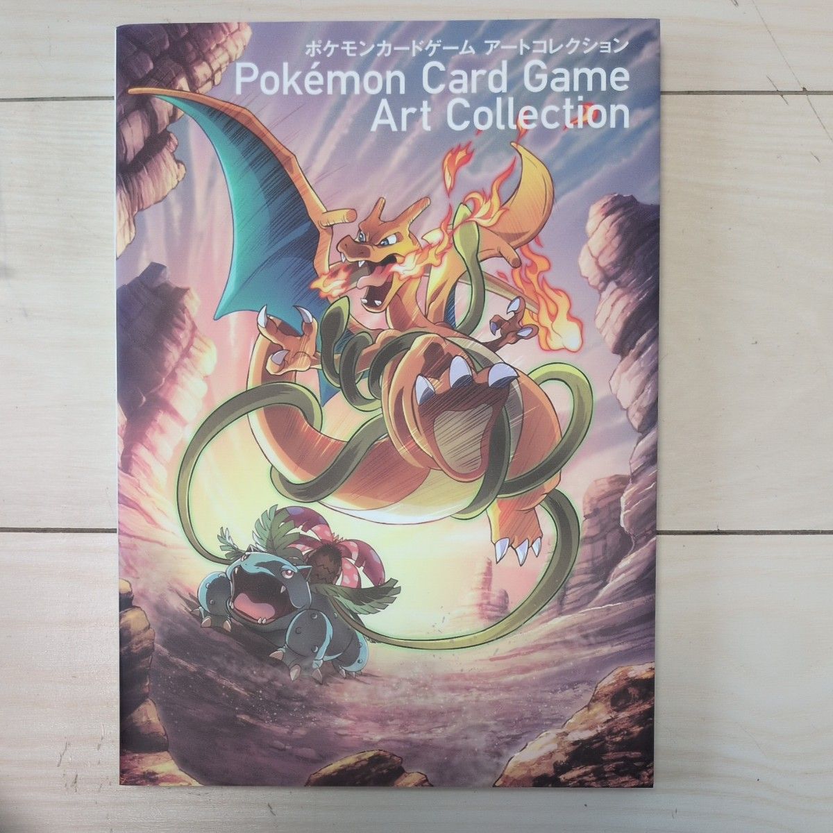 ポケモンカードゲームアートコレクション 初版 トレカなし オーバー