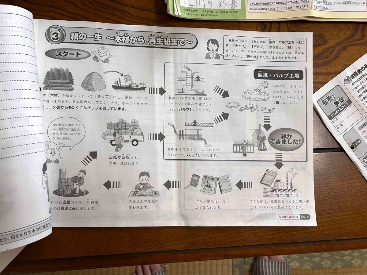 SAPIX 4年 社会 デイリー&春期＆夏期＆冬期フルセット 1年分 2015年