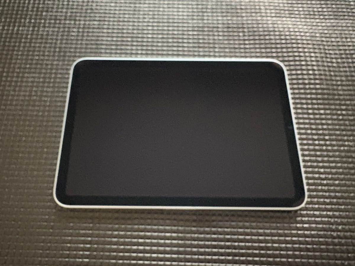 2024 Apple iPad mini A17pro 第7世代 128GB Wi-Fi ブルー バッテリー