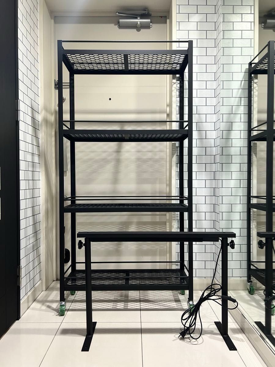 植物棚 アイアンシェルフ アガベ パキプス 塊根 ライトレールキット