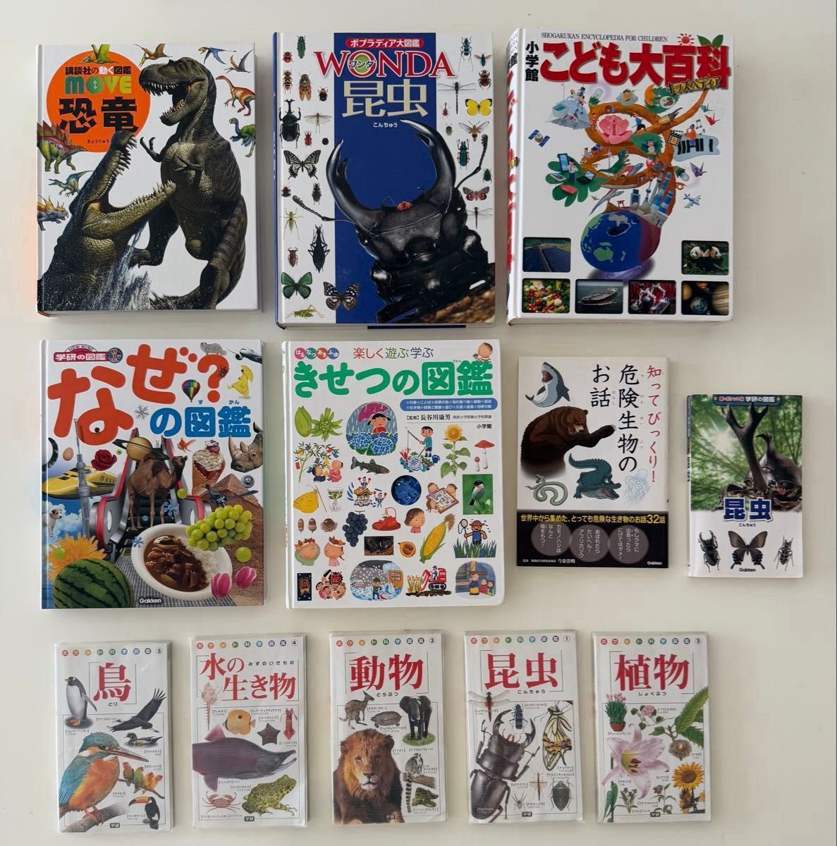 子供図鑑セット12冊 学研 小学館 ポプラ社 講談社 生物科学系おまとめ
