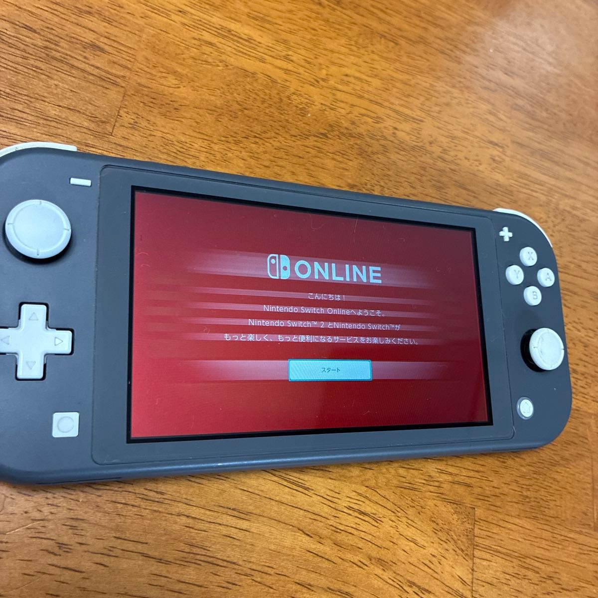 Nintendo Switch Lite グレー ニンテンドースイッチライト ジャンク品