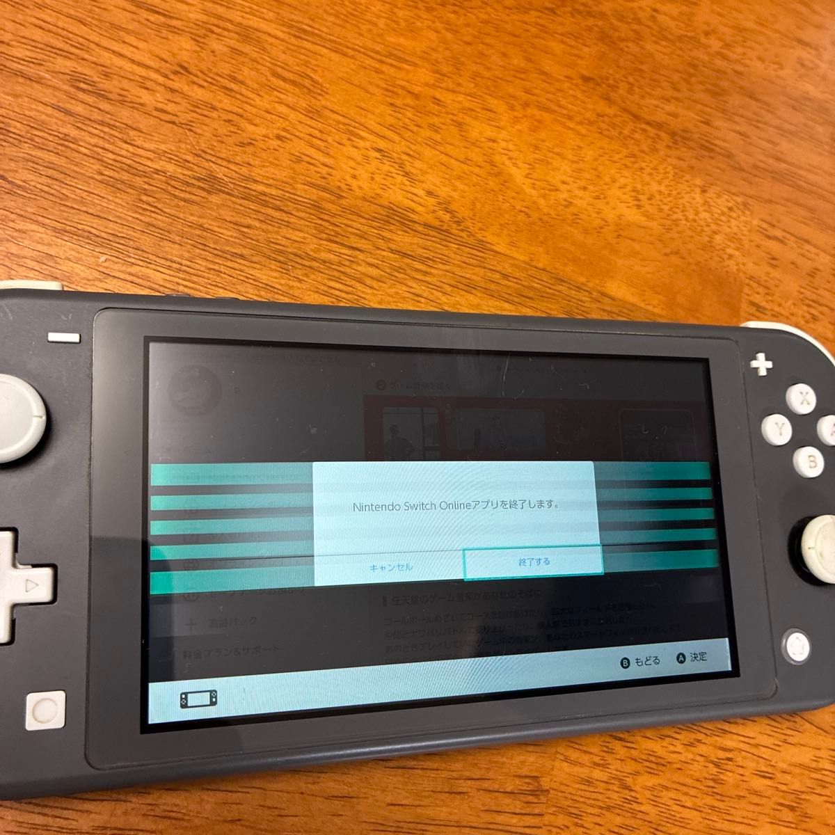 Nintendo Switch Lite グレー ニンテンドースイッチライト ジャンク品