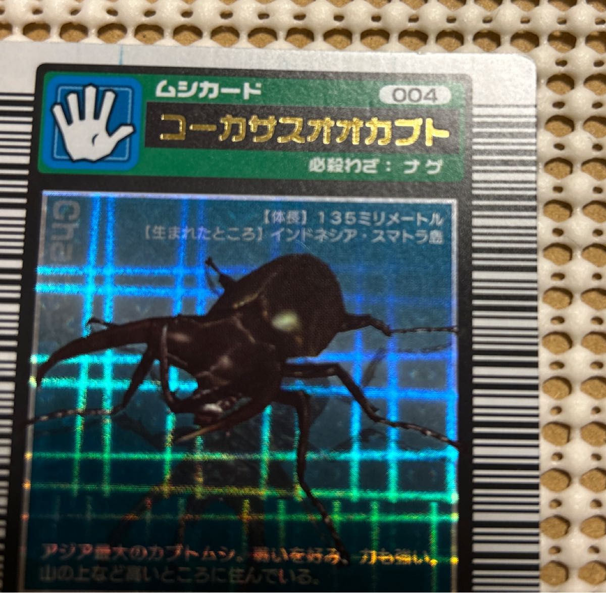 コーカサスオオカブト 2003 AUTUMN PSA10 コーカサスオオカブト 2003