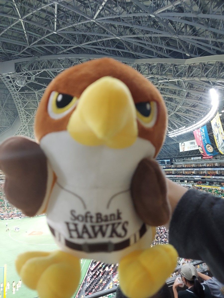 非売品】ホークス 鷹ぬいぐるみ｜Yahoo!フリマ（旧PayPayフリマ）