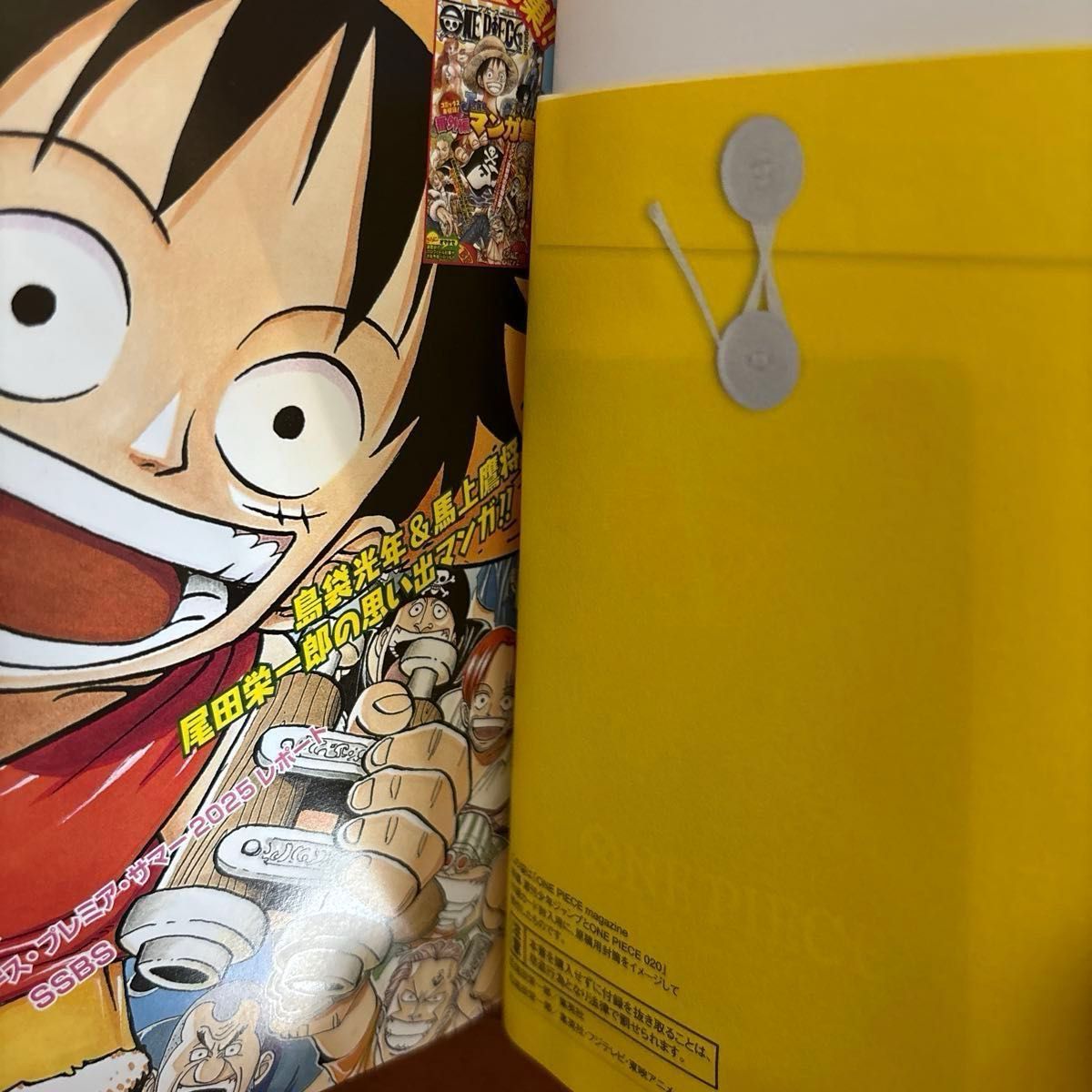 ONE PIECE magazine 20 ワンピースマガジン20特集 週刊少年ジャンプ