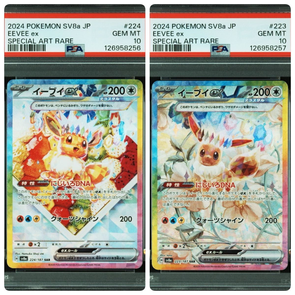 PSA10連番 2024 ポケモンカード イーブイex SAR PSA10 #224 #223