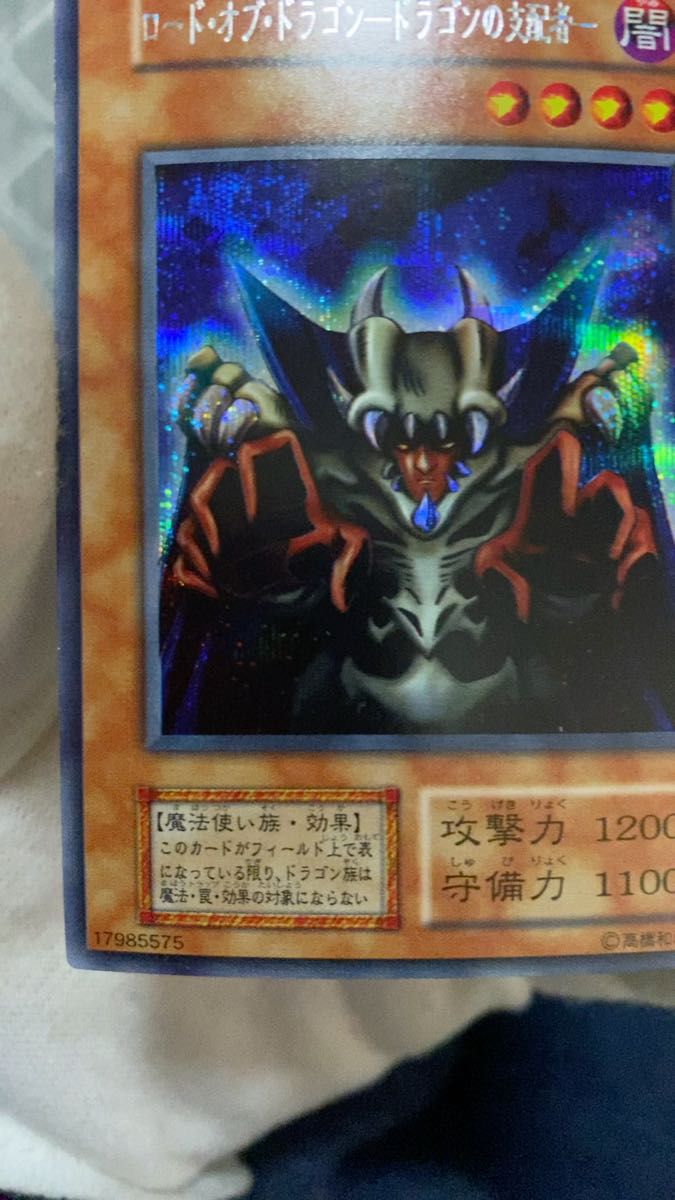 遊戯王カード ロード・オブ・ドラゴン-ドラゴンの支配者- ドラゴンを