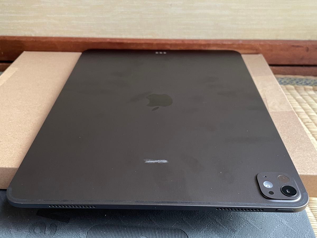 動作良好】iPad Pro 13インチ（M4） Wi-Fiモデル 256GB スペース