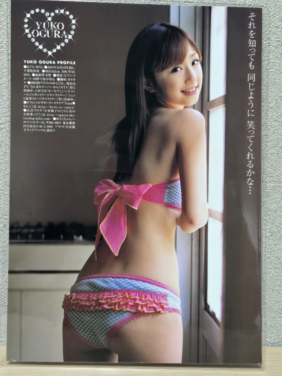 小倉優子】[150μmラミネート加工切り抜き9ページ]ヤングアニマル嵐