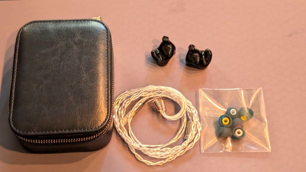 Aur Audio Neon Pro eSiq済｜Yahoo!フリマ（旧PayPayフリマ）