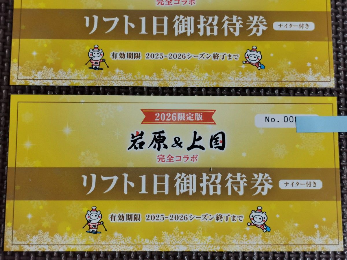 2枚】 岩原スキー場＆上越国際スキー場 リフト1日招待券ナイター付き