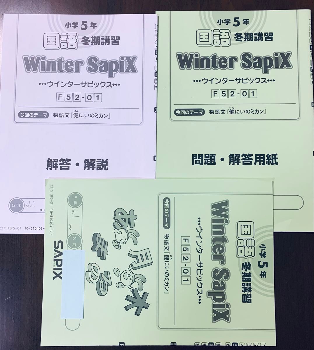 SAPIX 小学5年 国語 冬期講習 Winter SapiX F52-01～04 計4セット