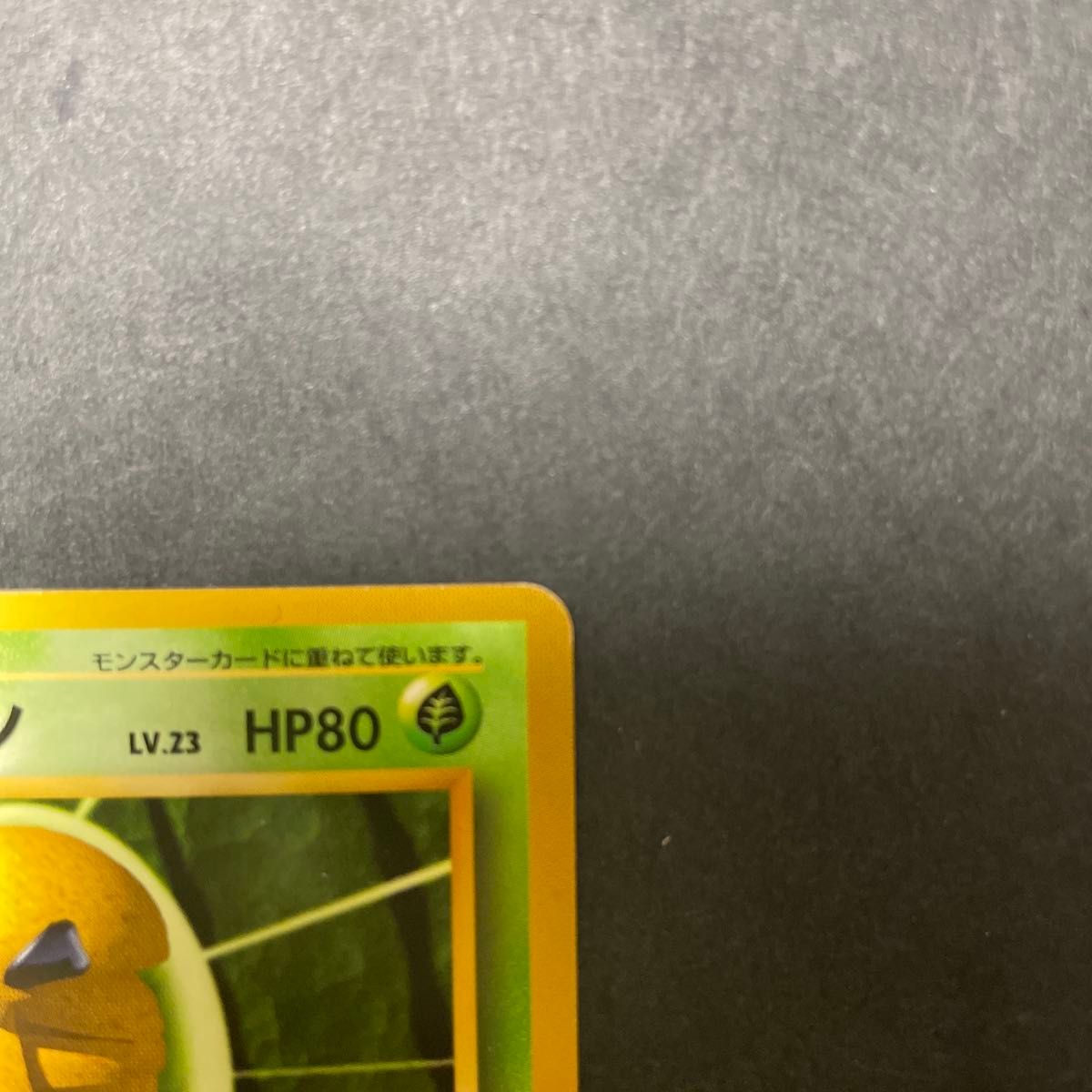 ポケモンカード 旧裏面 コクーン初版 No 14｜Yahoo!フリマ（旧PayPay