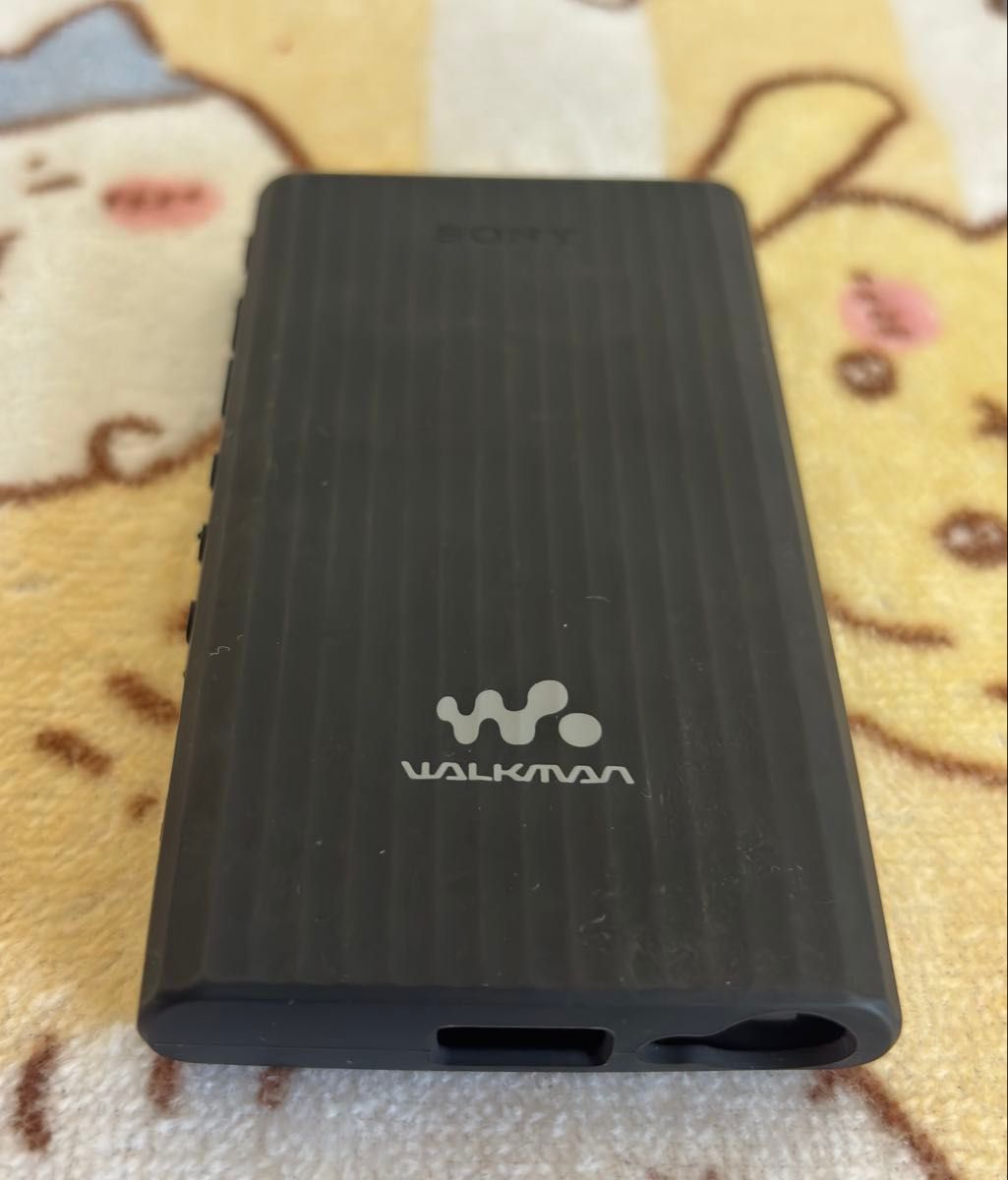 美品】ソニーウォークマン A300シリーズ 32GB NW-A306 walkman SD